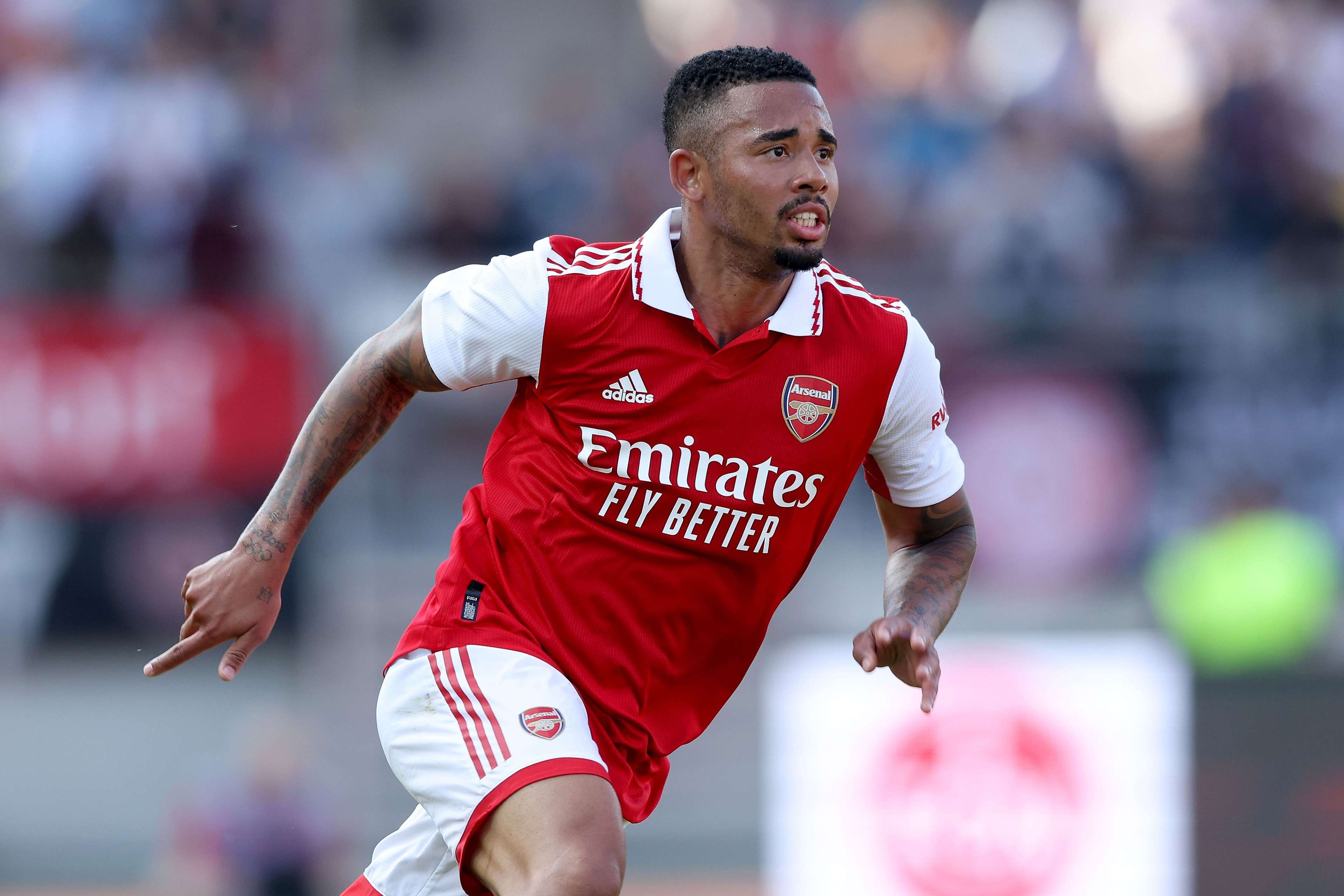 显示出他们 显示出他们