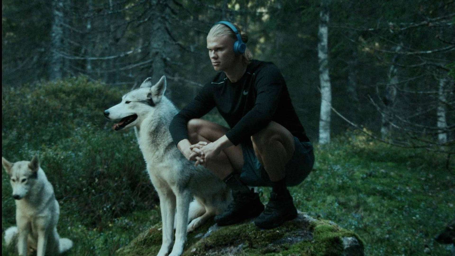 足球文化和 足球文化和